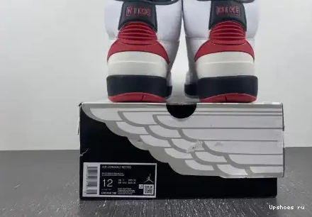 Retro    DX2454-106 2 Chicago OG Jordan DX2454-106 0424
